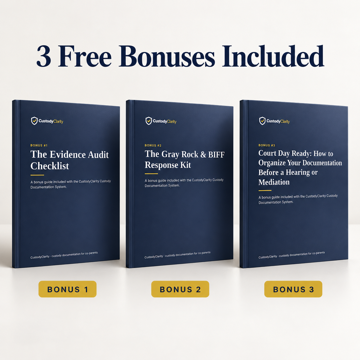 3 bonus guides included: The Evidence Audit Checklist, The Gray Rock & BIFF Response Kit and Court Day Ready